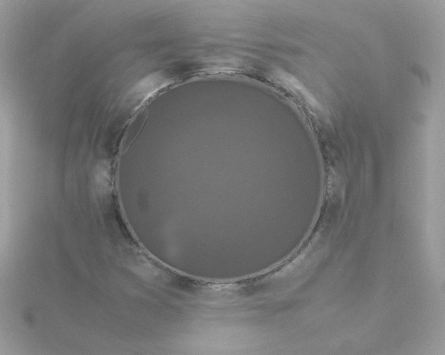 X0000115721353200911251908