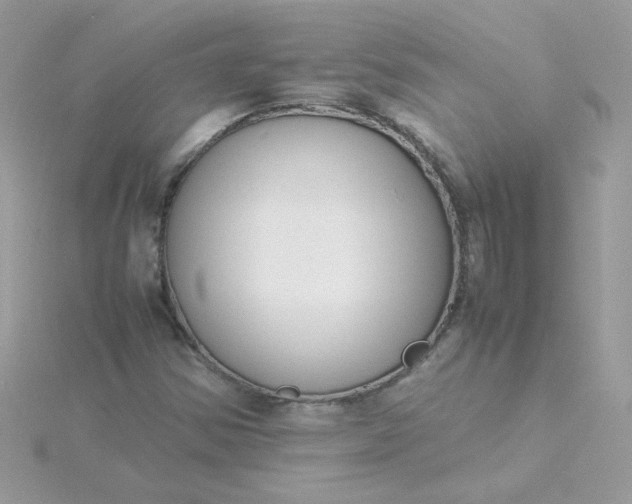 X0000115721354200911251908