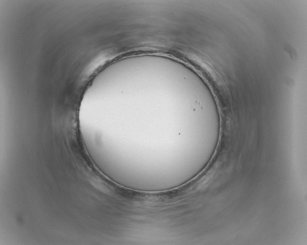 X0000115721355200911251908