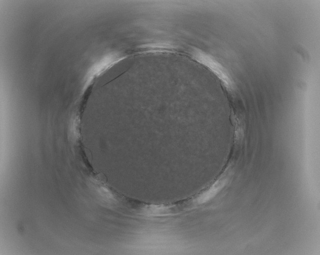 X0000115721357200911251908
