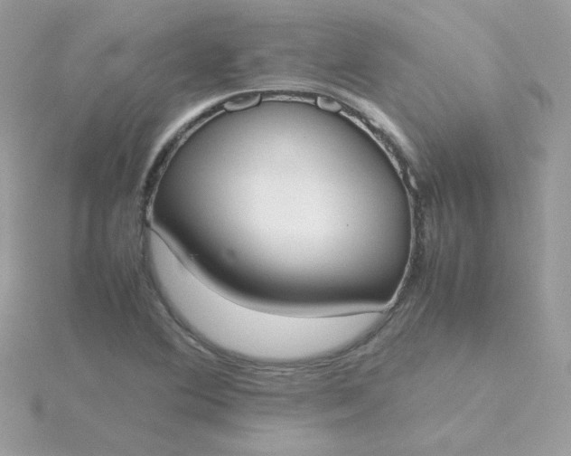 X0000115721364200911251908