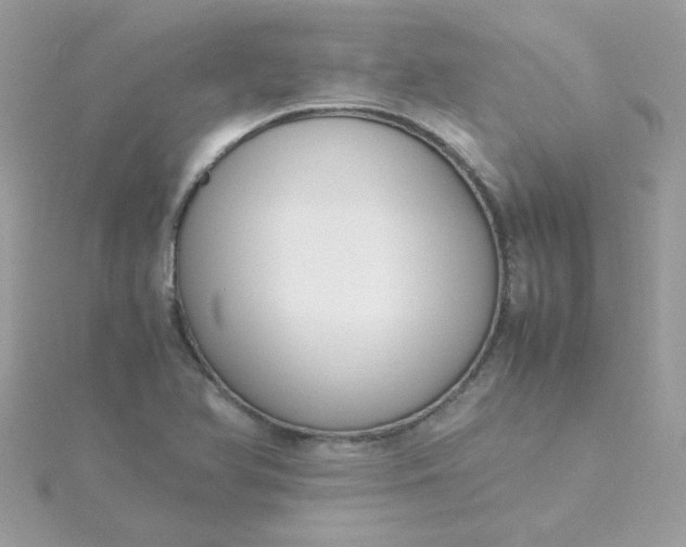 X0000115721366200911251908