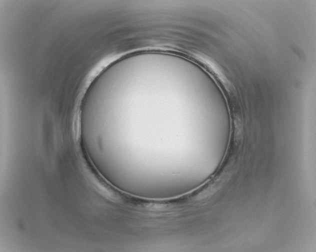 X0000115721371200911251908