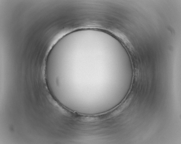 X0000115721374200911251908