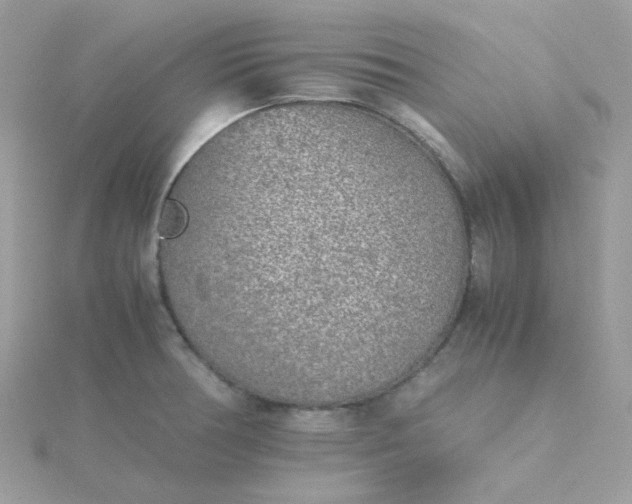 X0000115721378200911251908