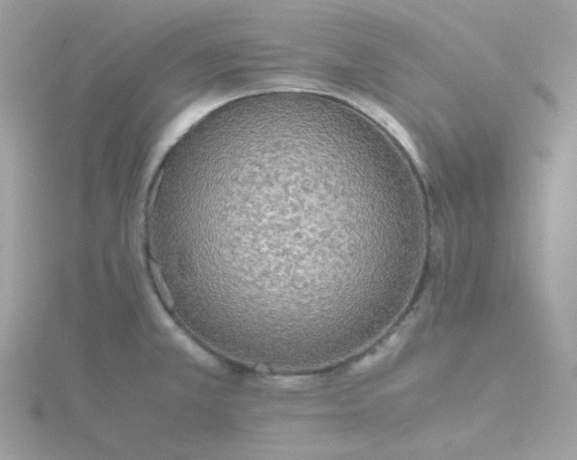 X0000115721381200911251908