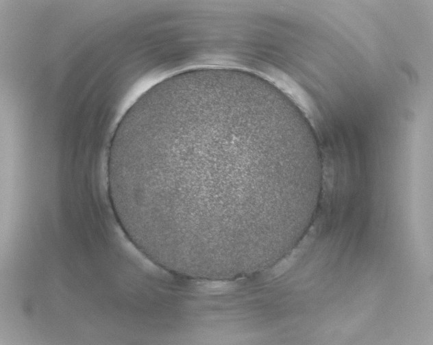 X0000115721382200911251908