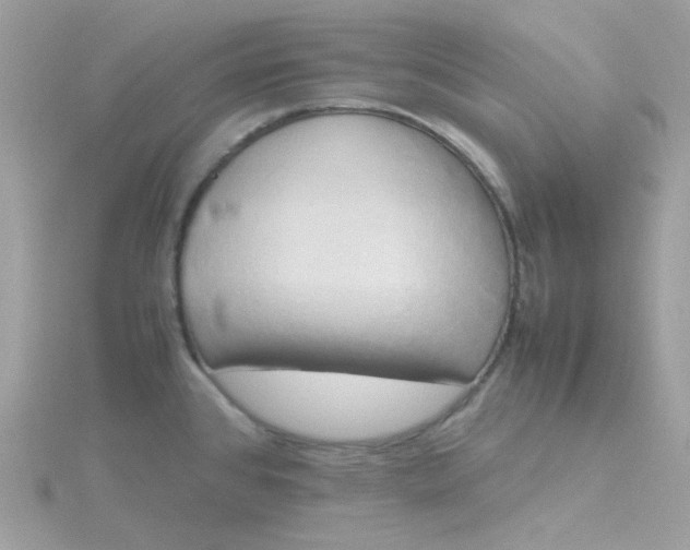 X0000115721384200911251908