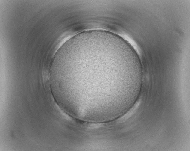 X0000115721385200911251908