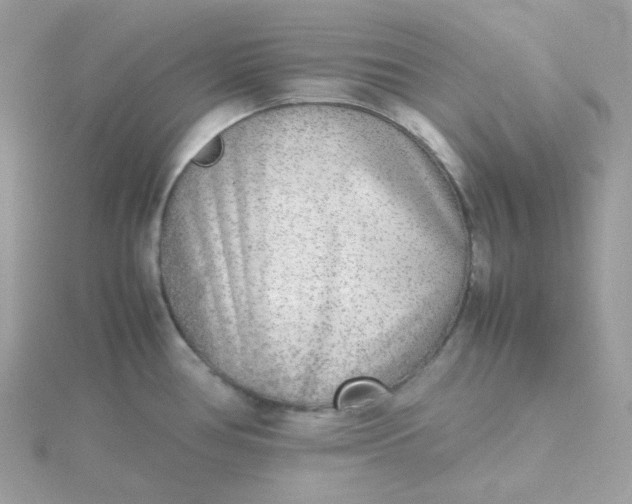 X0000115721386200911251908