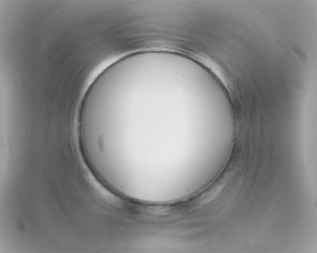 X0000115721387200911251908