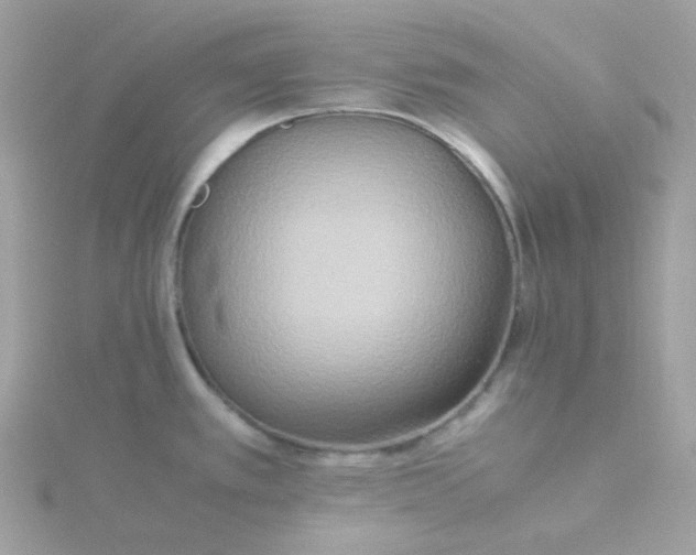 X0000115721389200911251908