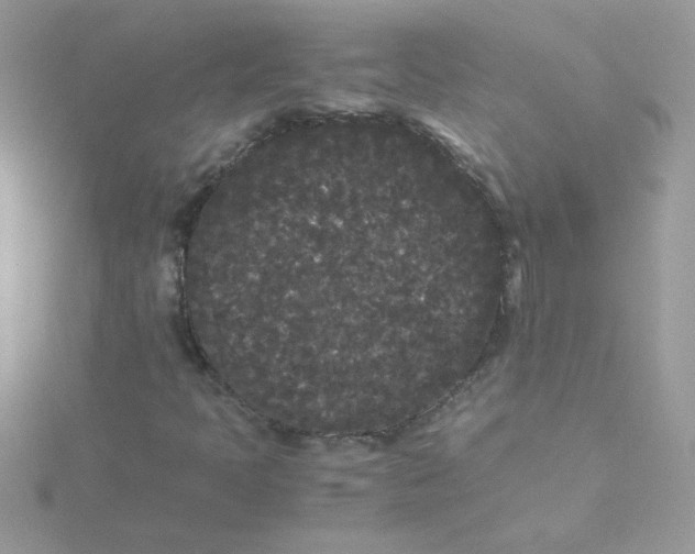 X0000115721397200911251907