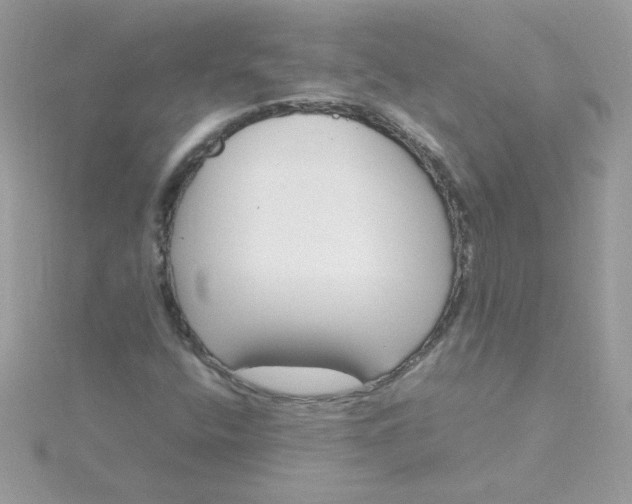 X0000115721400200911251907