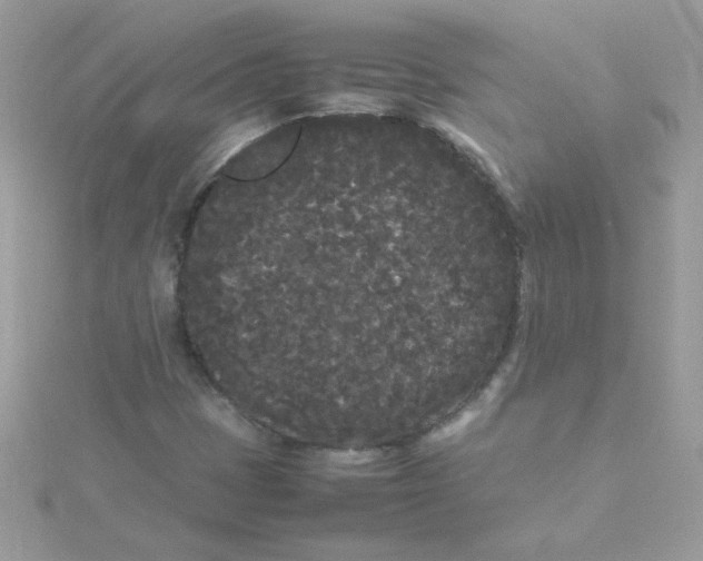 X0000115721401200911251907