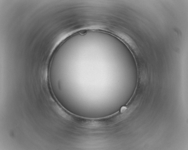 X0000115721420200911251907