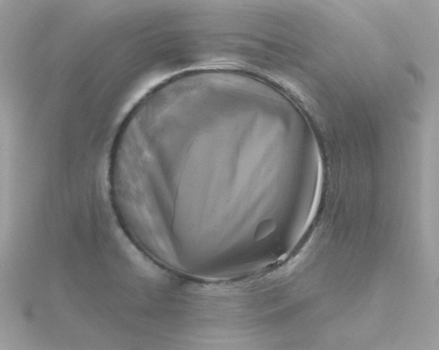 X0000115721422200911251908