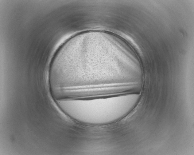 X0000115721424200911251908