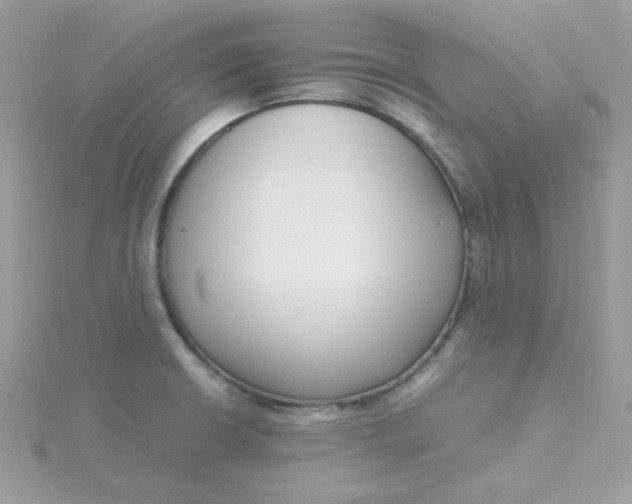 X0000115721426200911251908