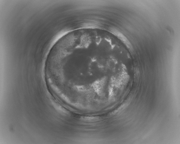 X0000115721427200911251908