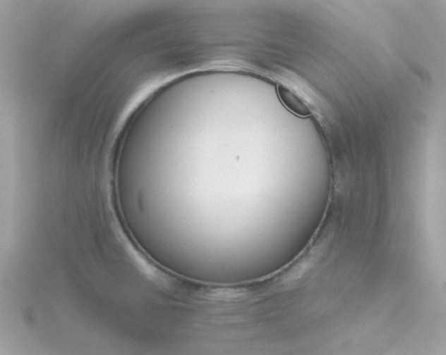 X0000115721430200911251908