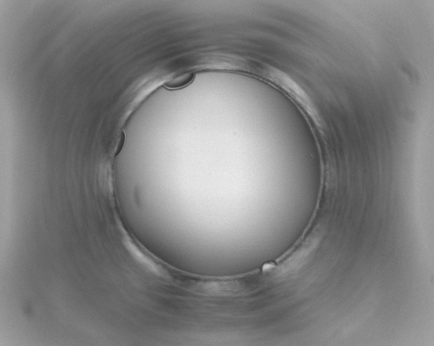 X0000115721433200911251908
