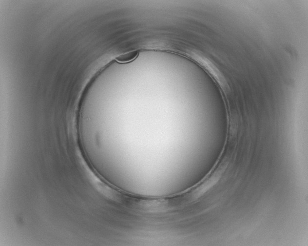 X0000115721434200911251908