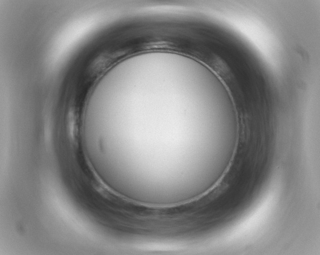 X0000115721438200911251908