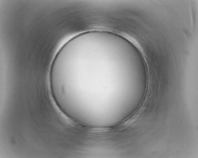 X0000115721440200911251908