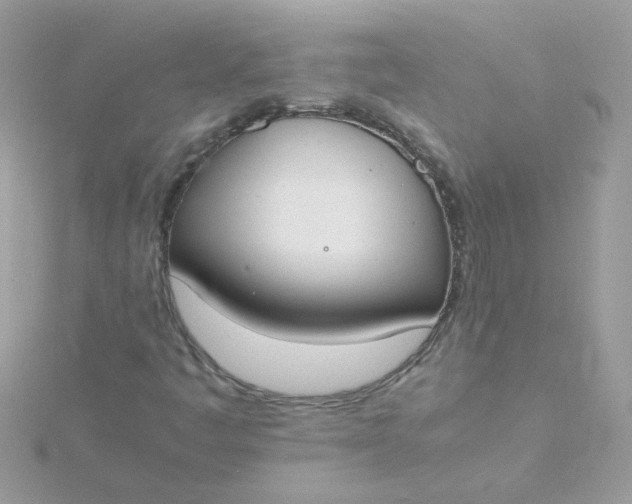 X0000115721445200911251907