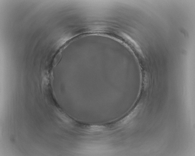 X0000115721449200911251907