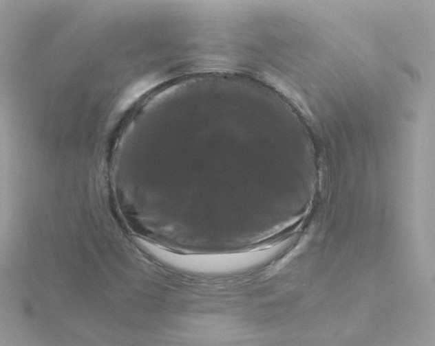 X0000115721453200911251907