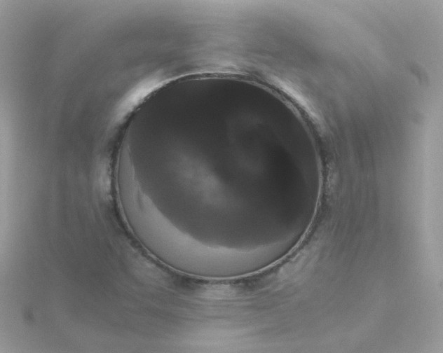 X0000115721455200911251907