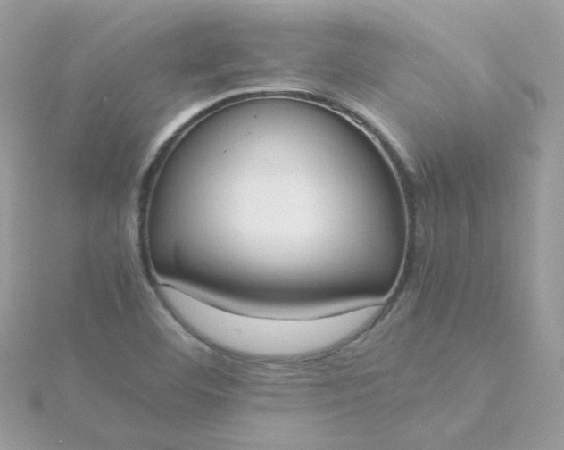 X0000115721460200911251907