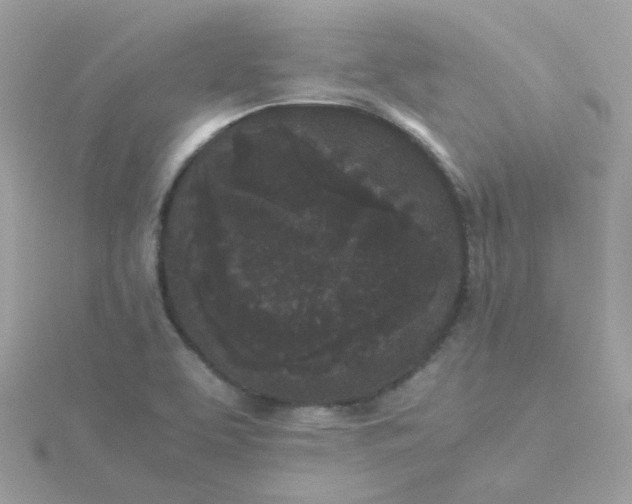 X0000115721463200911251907
