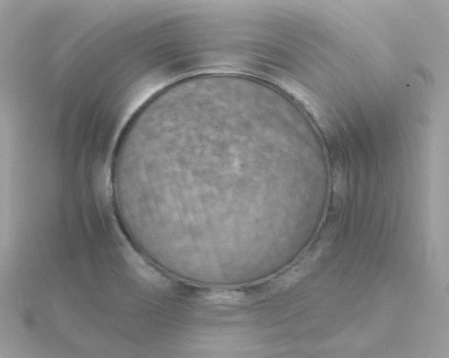 X0000115721466200911251907