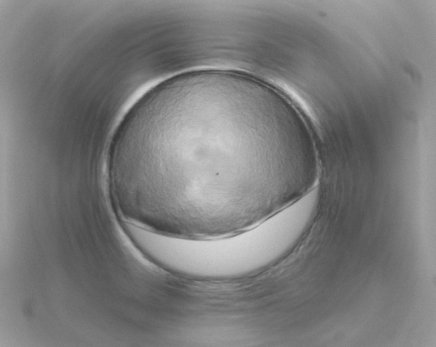 X0000115721468200911251907