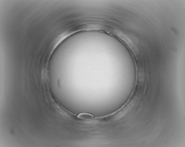 X0000115721473200911251907