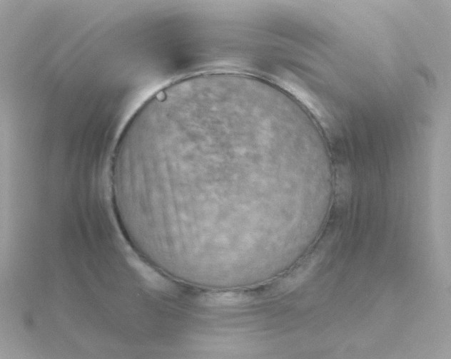 X0000115721474200911251907