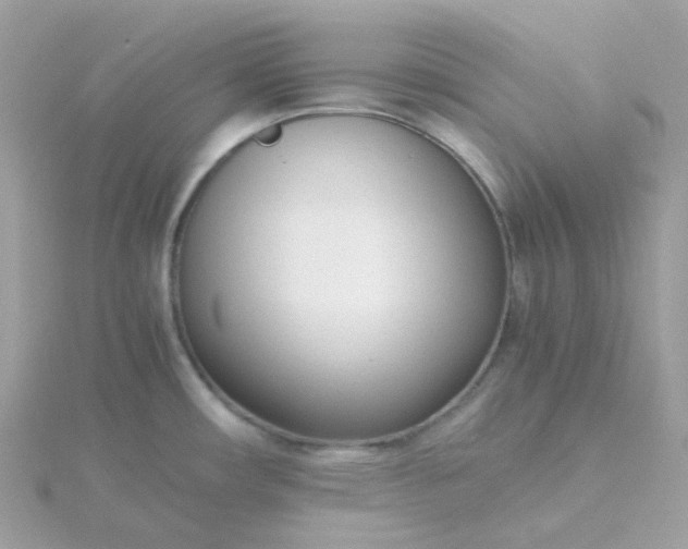 X0000115721482200911251906