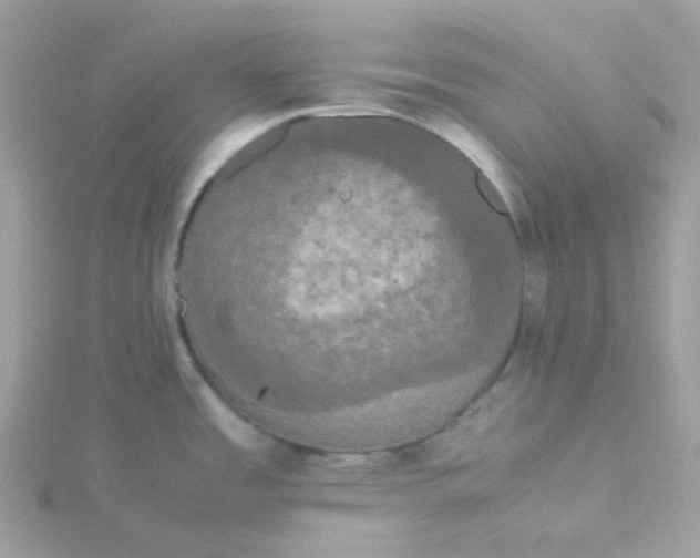 X0000115721485200911251906