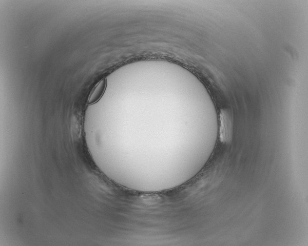 X0000115721491200911251906