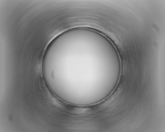 X0000115721513200911251906