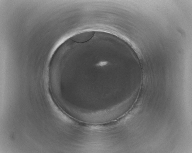 X0000115721522200911251906