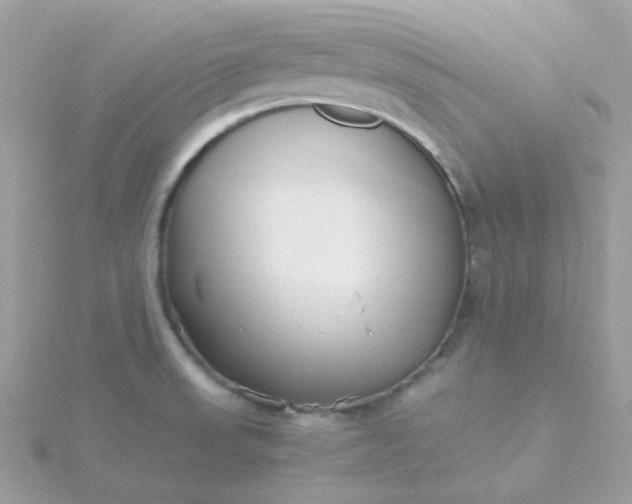 X0000115721523200911251906