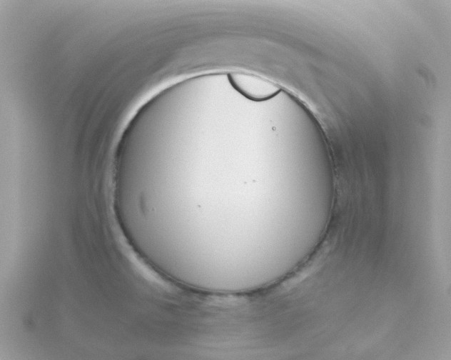 X0000115721526200911251906