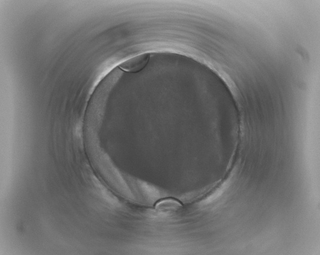 X0000115721529200911251906