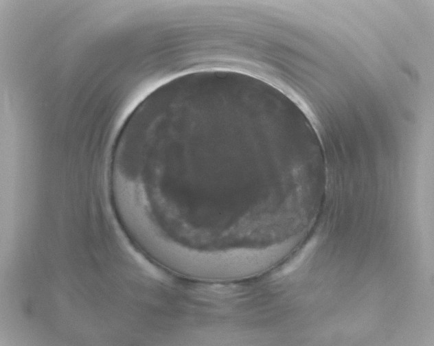 X0000115721533200911251906