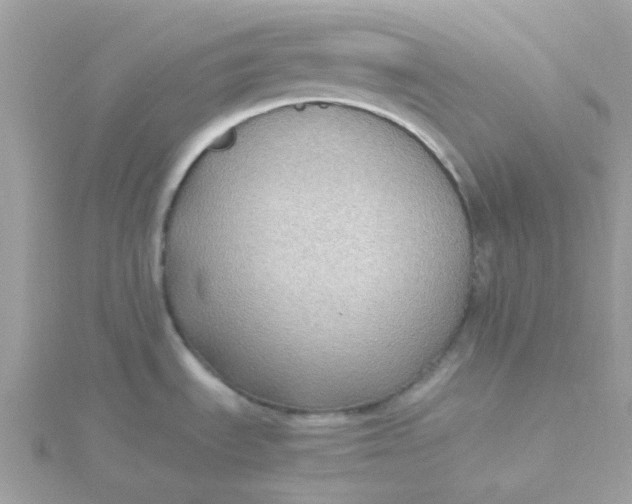 X0000115721535200911251906
