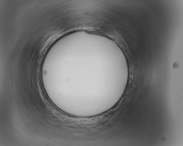 X0000115720001200912031602